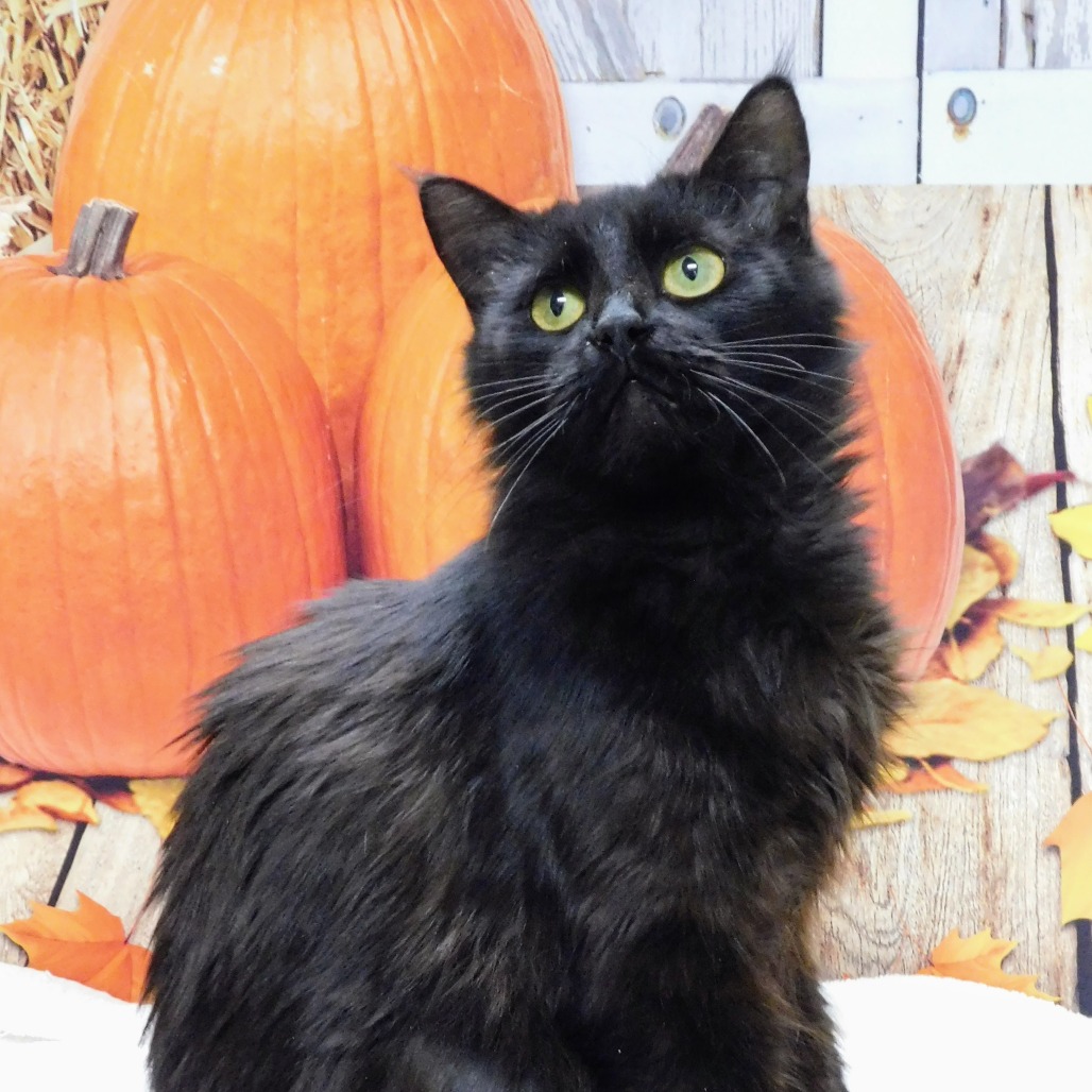 Sabrina