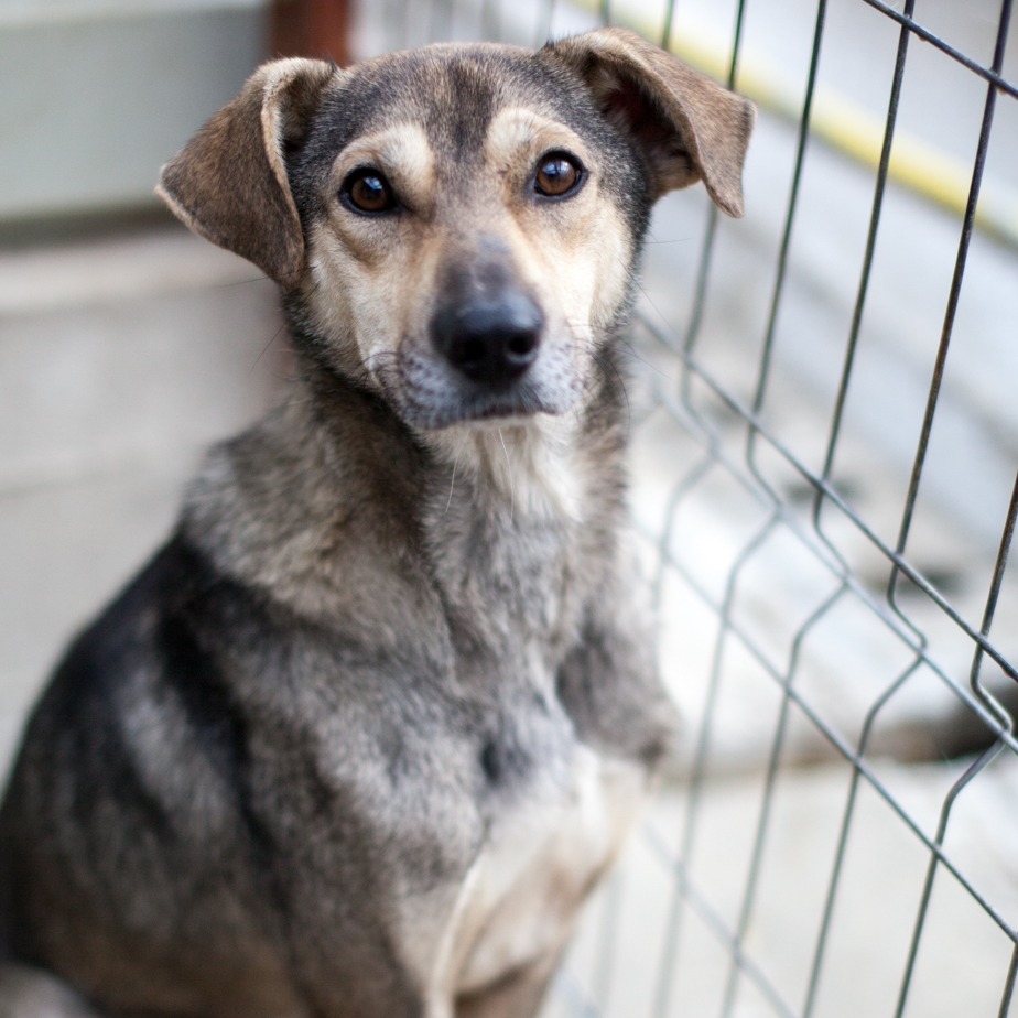 Bally/ TPP Rupert/ Codlea 07.11.2023 1M