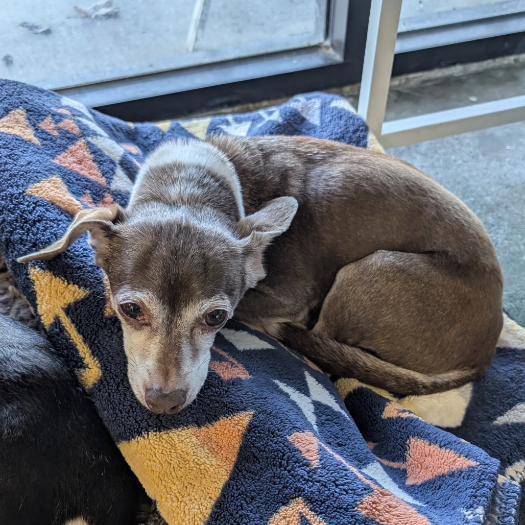 Jake — thumbnail 4