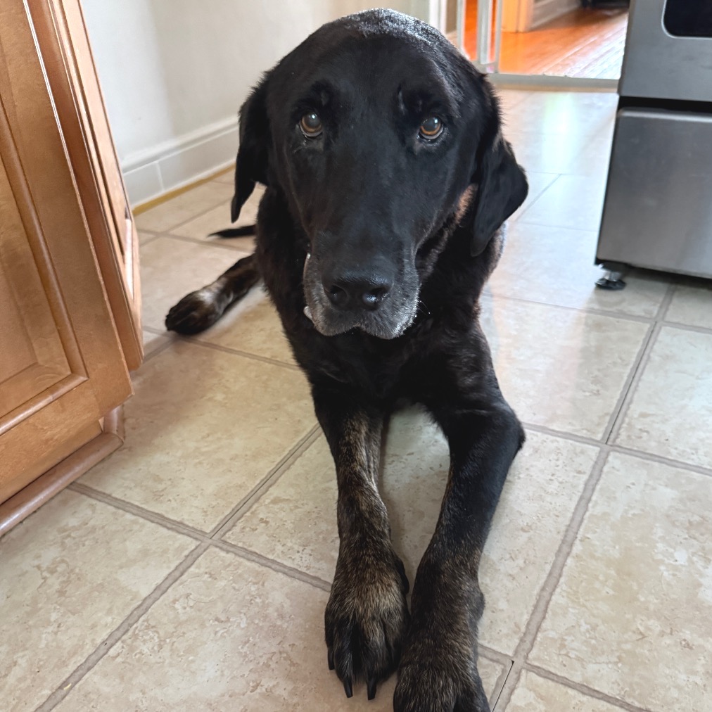 Bodie, photo 4