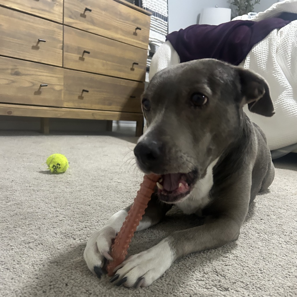 Athena — thumbnail 3