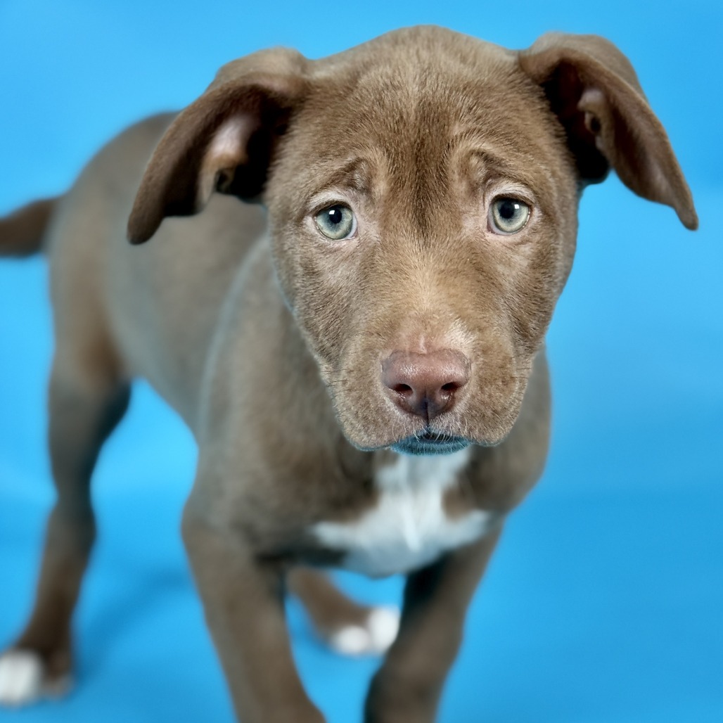 Glitter Sprinkles — thumbnail 2