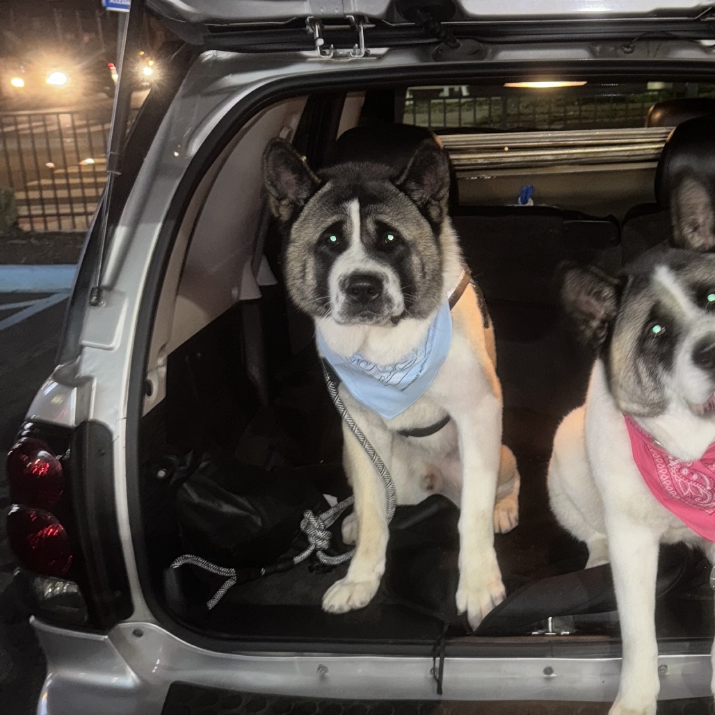 Lebron — thumbnail 2