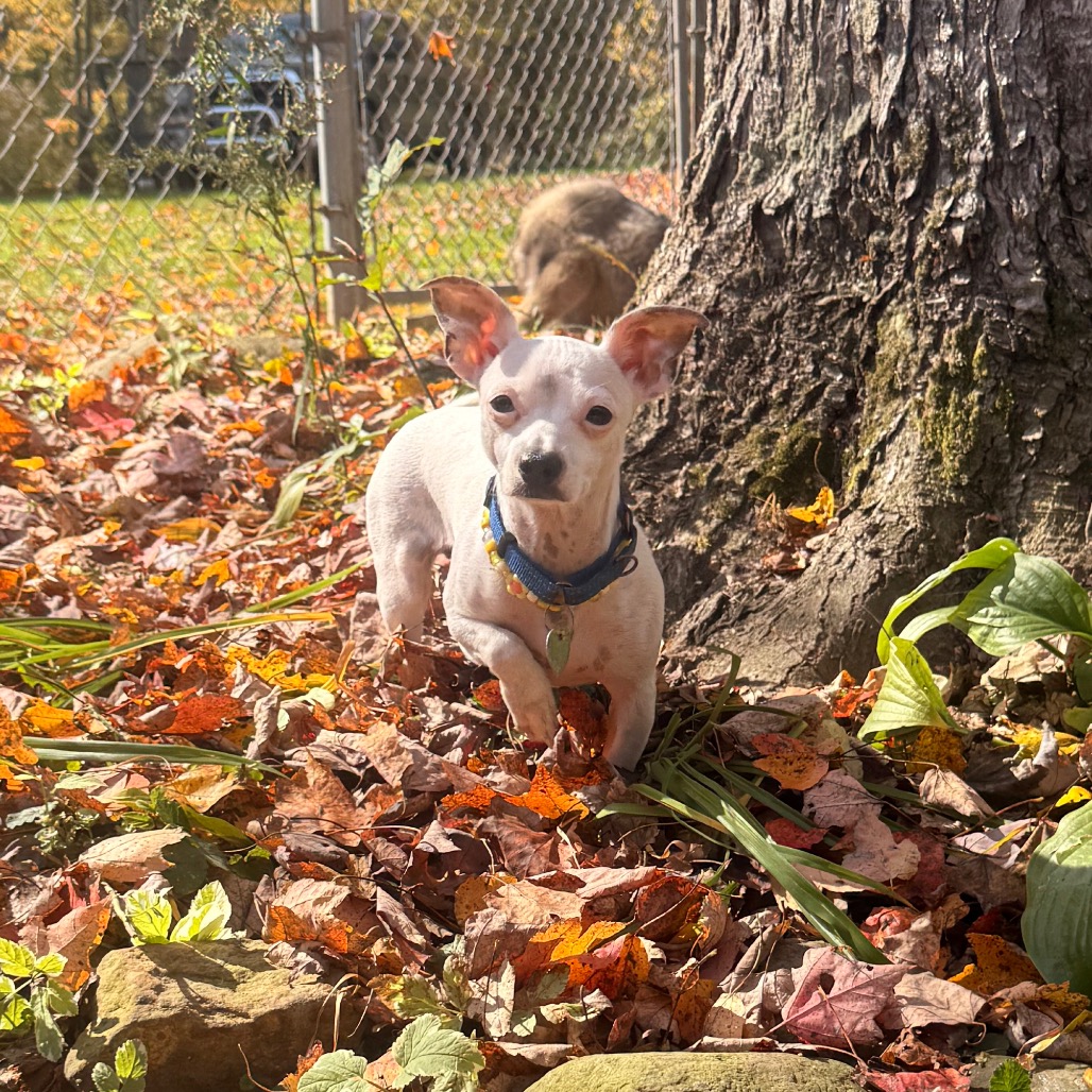 MINNIE, photo 18