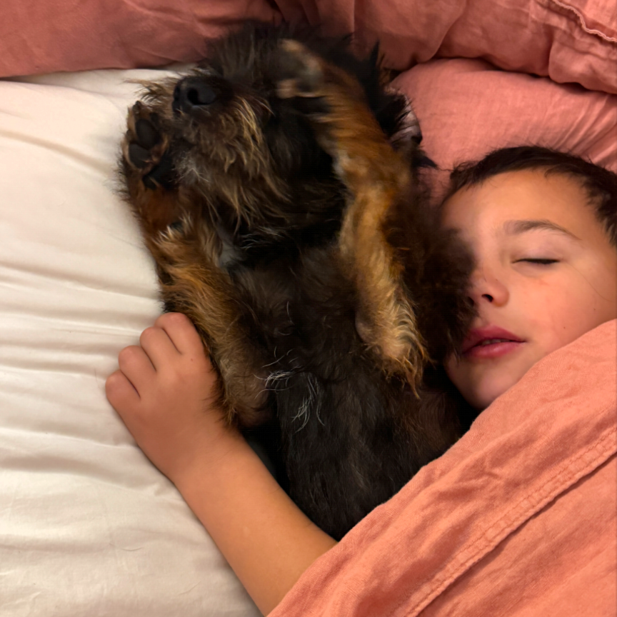 ZION is available for adoption at Milo Foundation