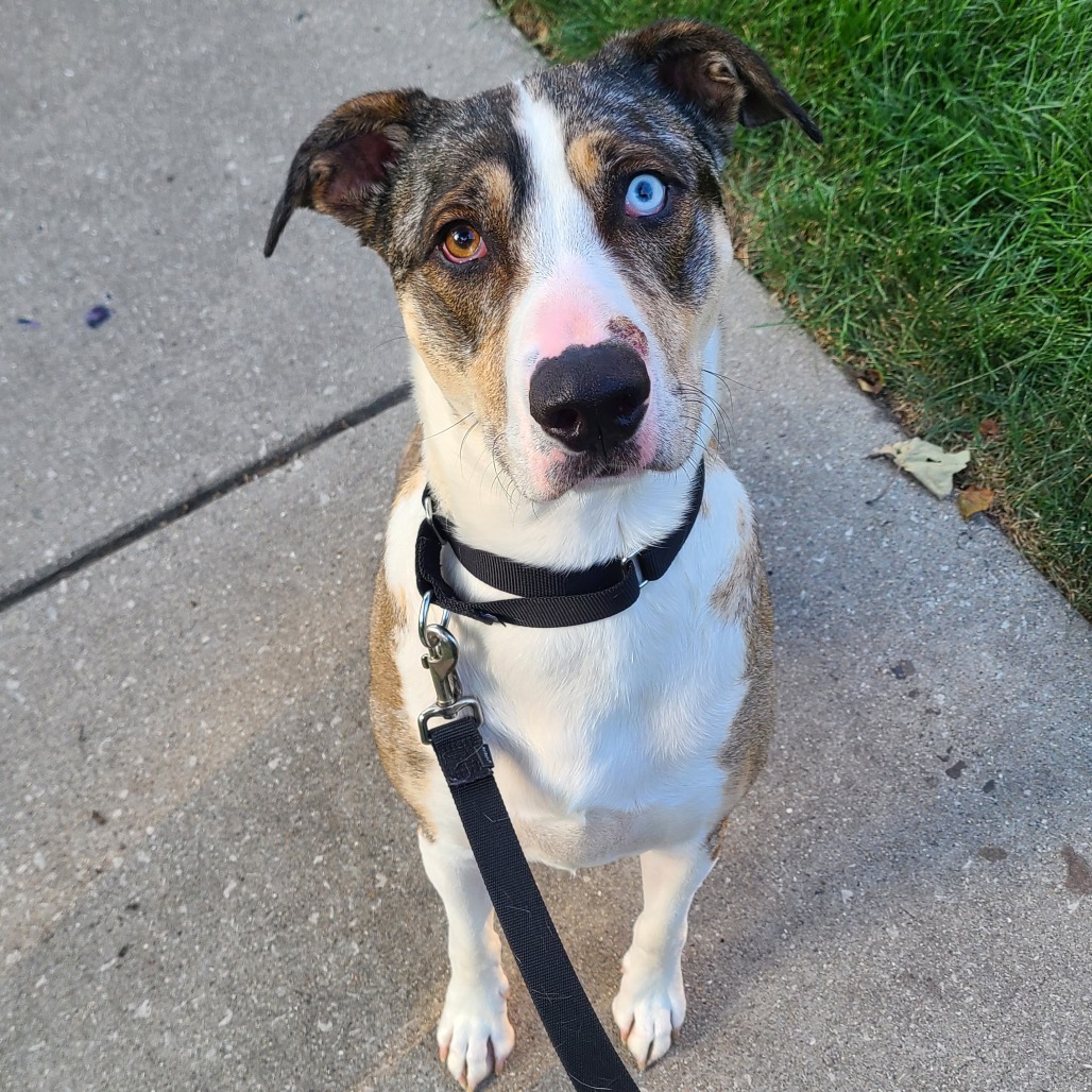 Yuki — thumbnail 3