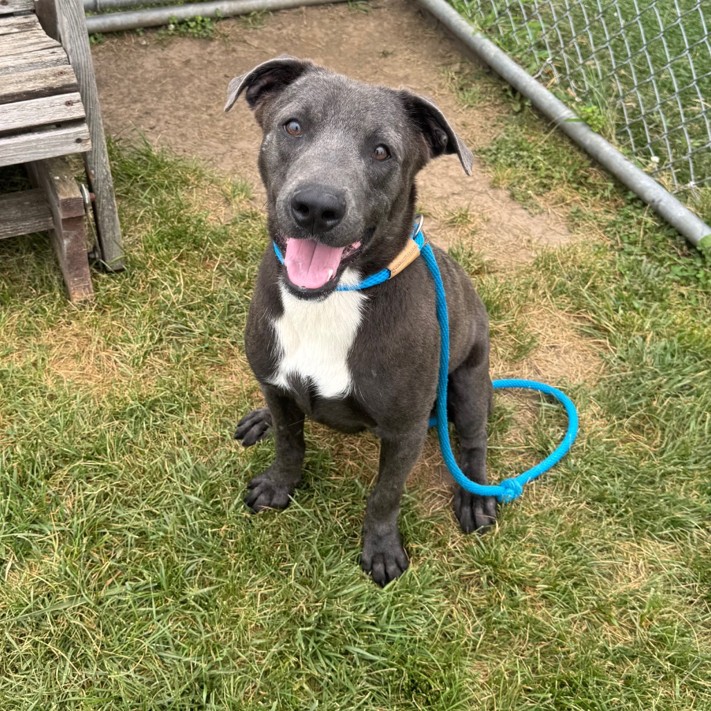 Zeus