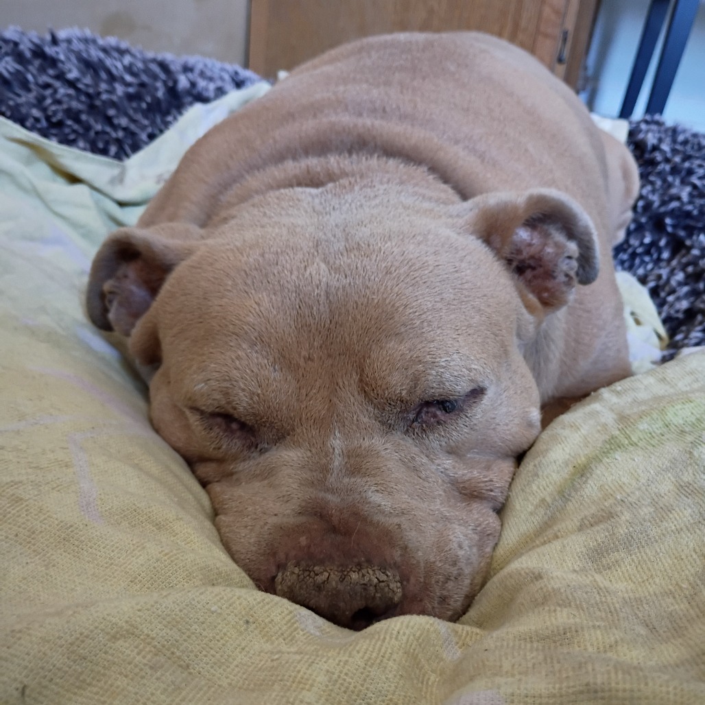 Ellie Belly, additional photo