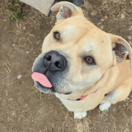 Smudge — thumbnail 10