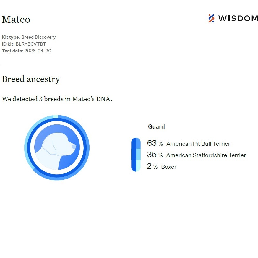 Mateo, photo 22