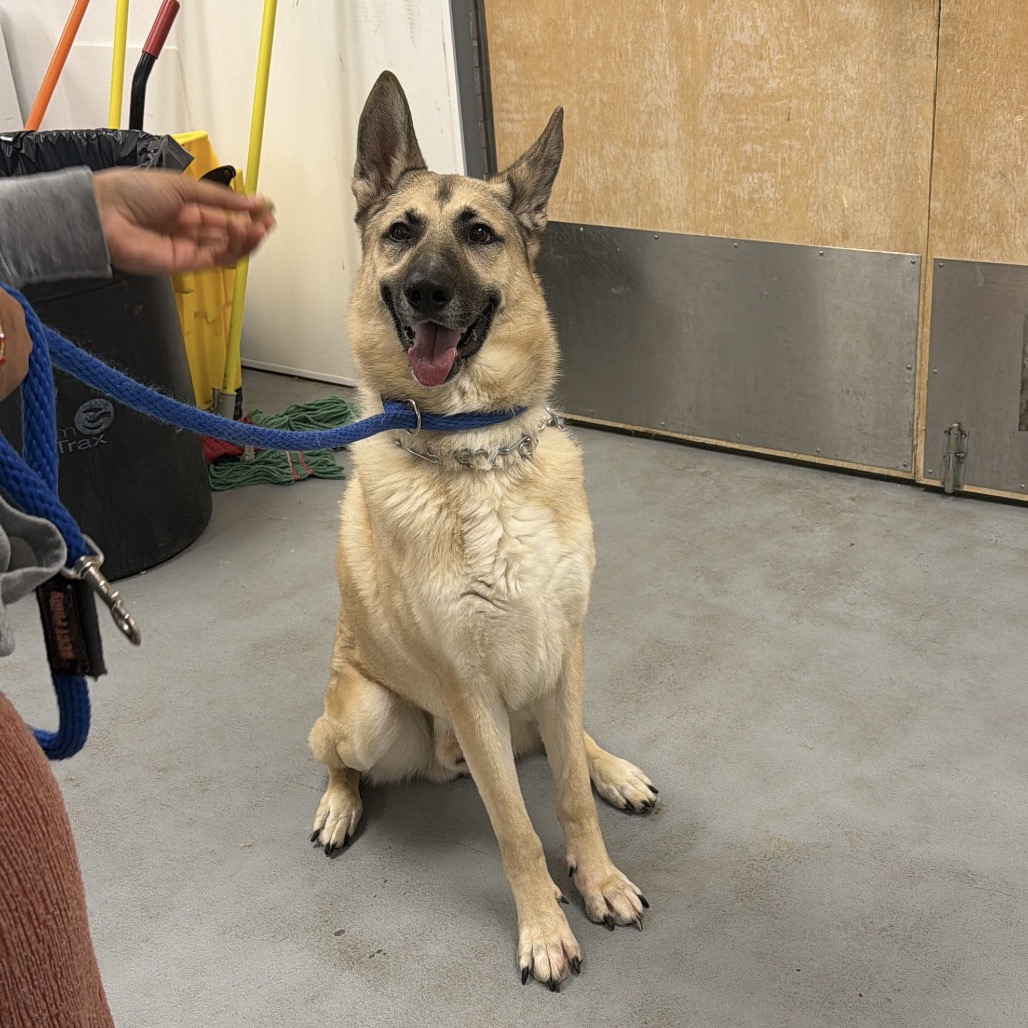 Hooch — thumbnail 4