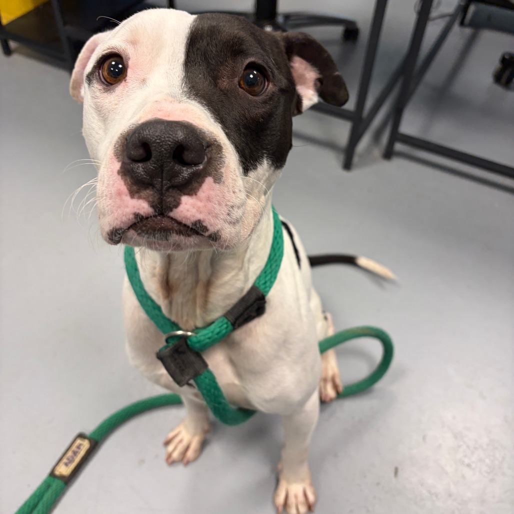 Zero — thumbnail 2