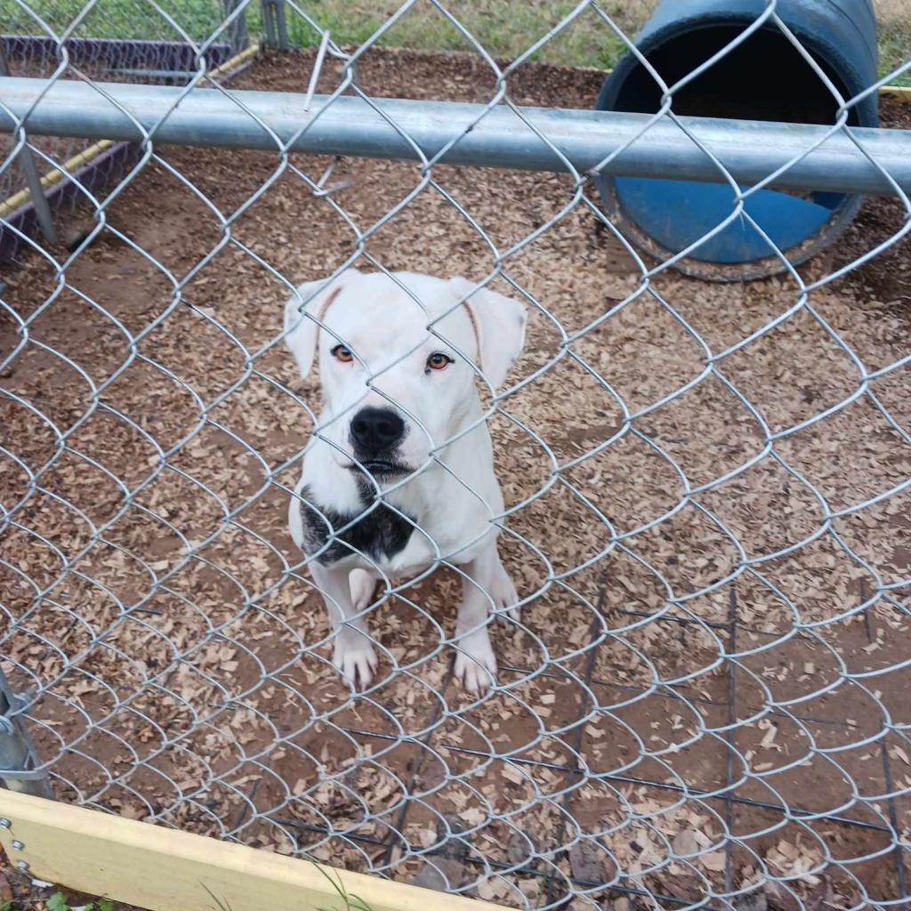 Jasper Cullen — thumbnail 2