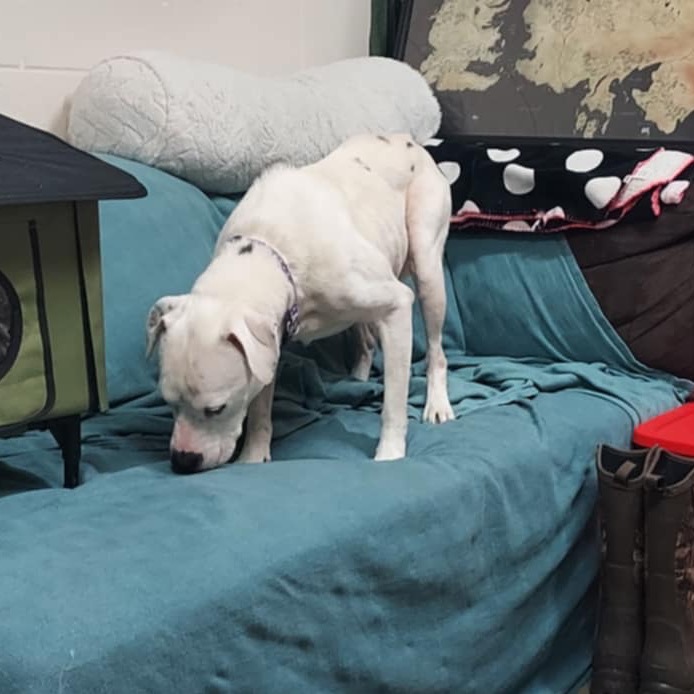 Jasper Cullen — thumbnail 5