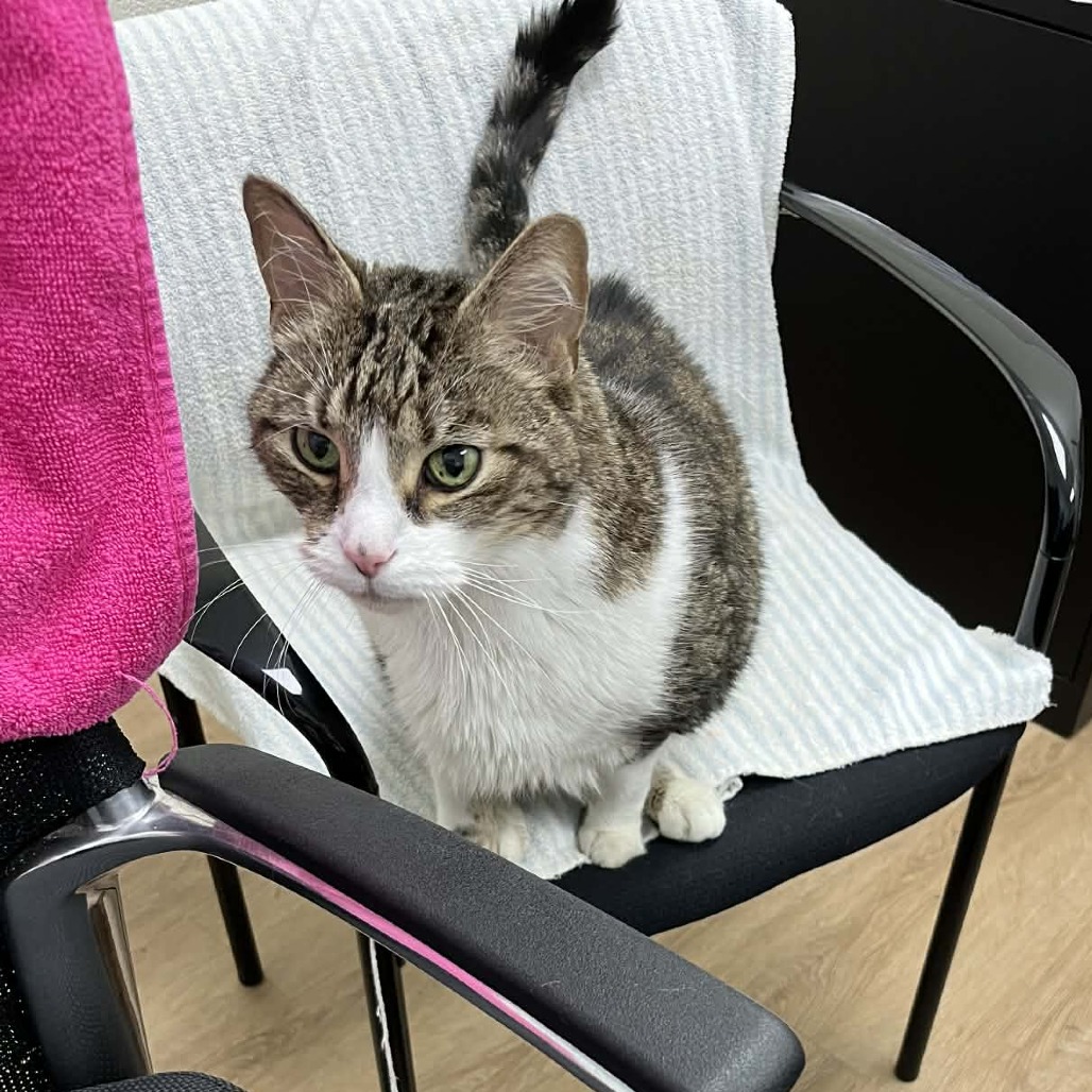 Izuku — thumbnail 4