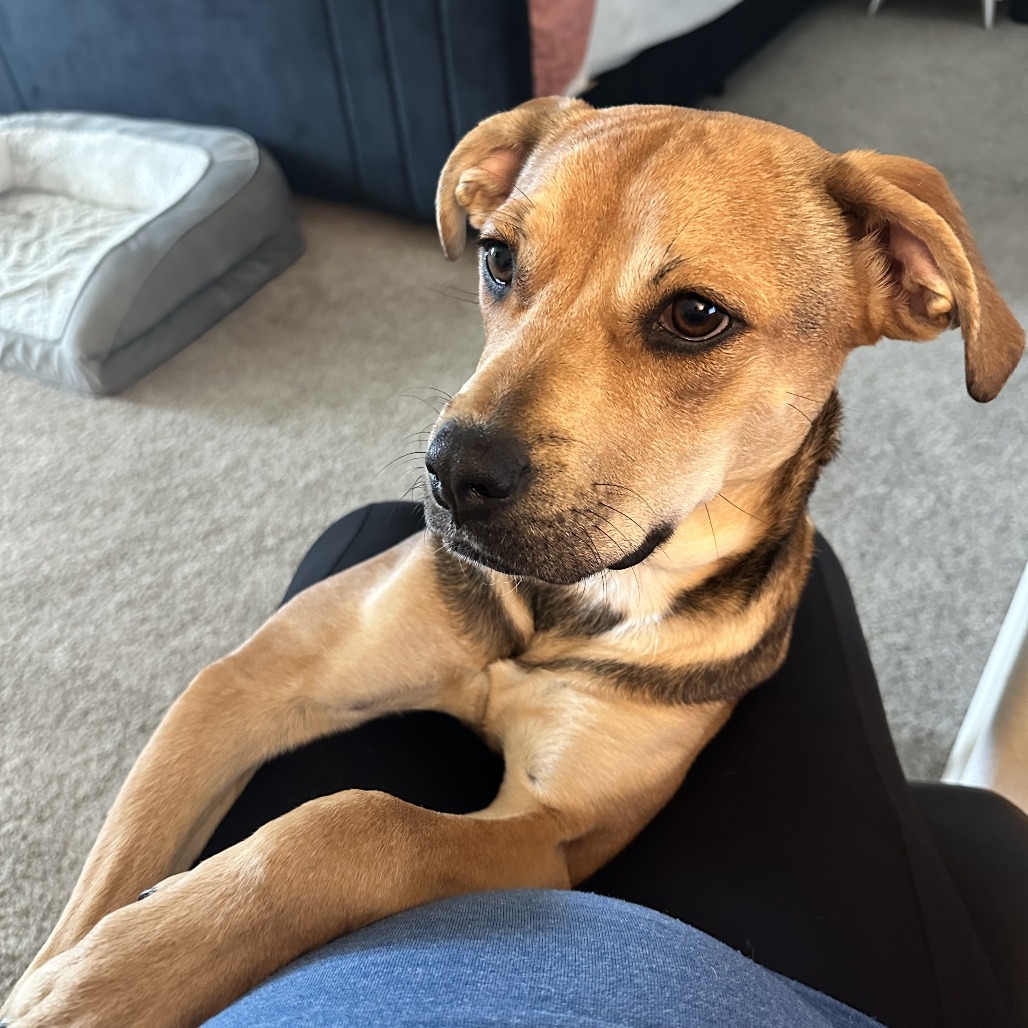 Penny