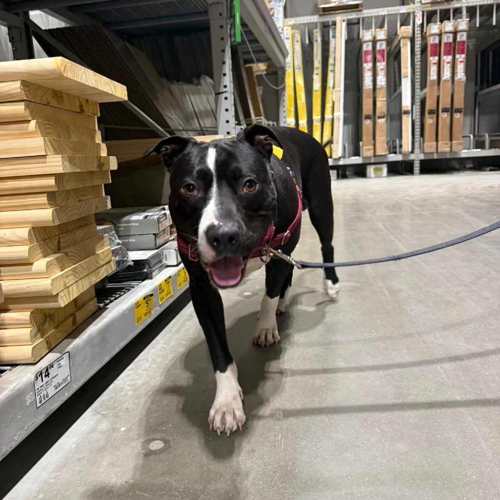 Photo of General Tso 89