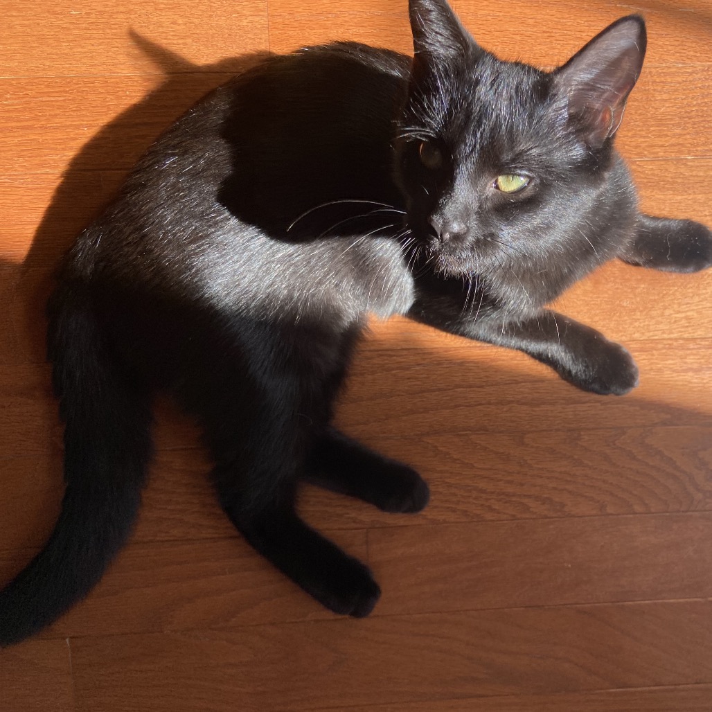 Lola, photo 3
