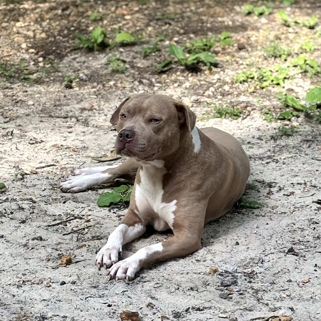 Manny formerly Lil Man, photo 8