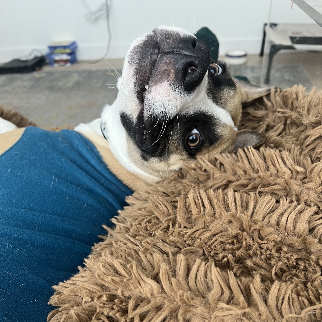 Apache Kid — thumbnail 9