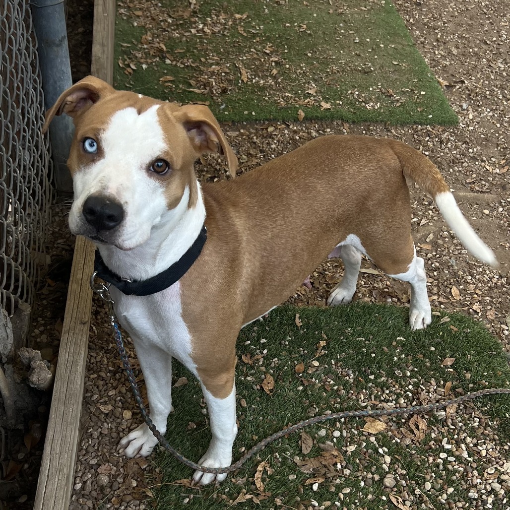 January Eve — thumbnail 9