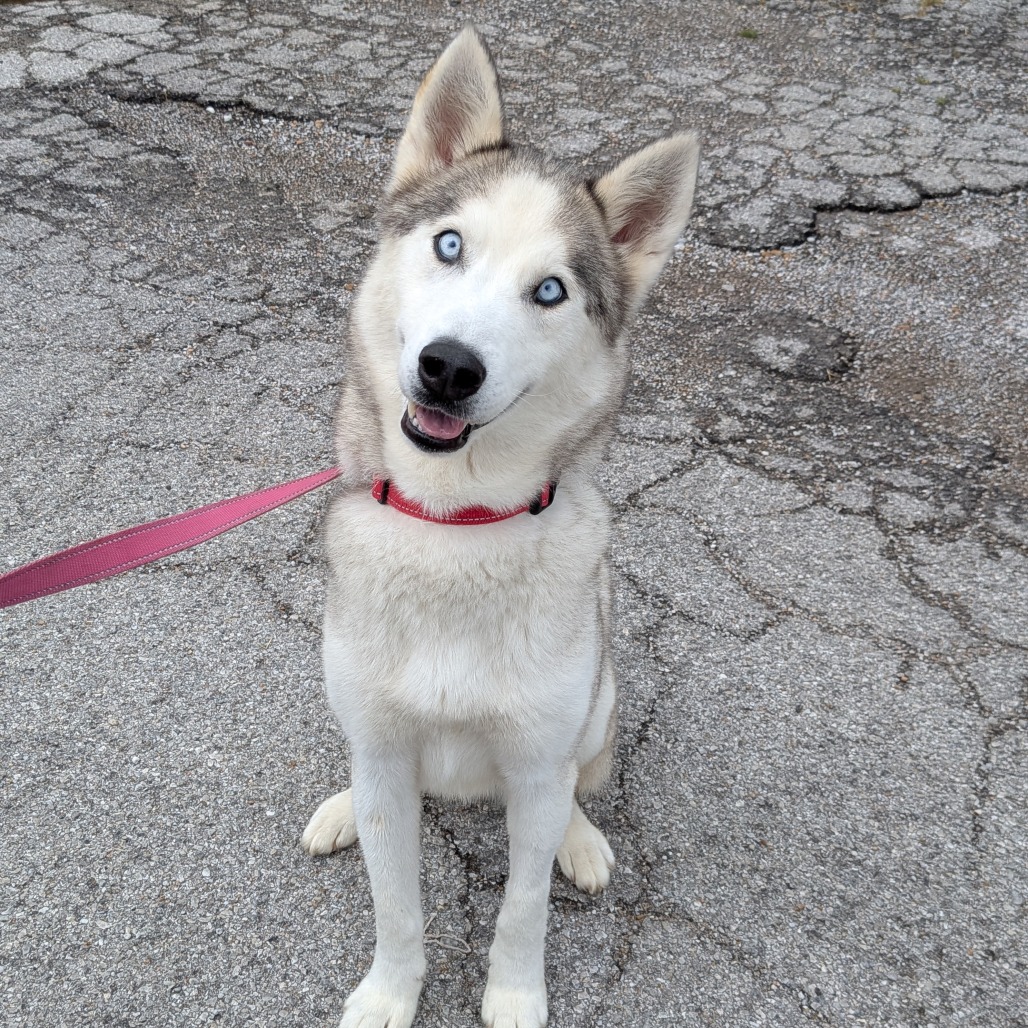 Casper photo 37