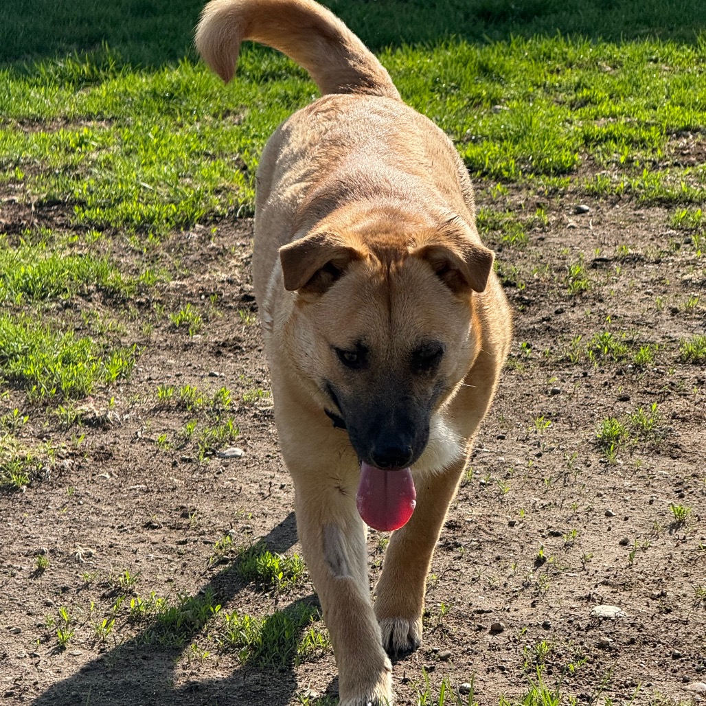 Mocha, photo 7