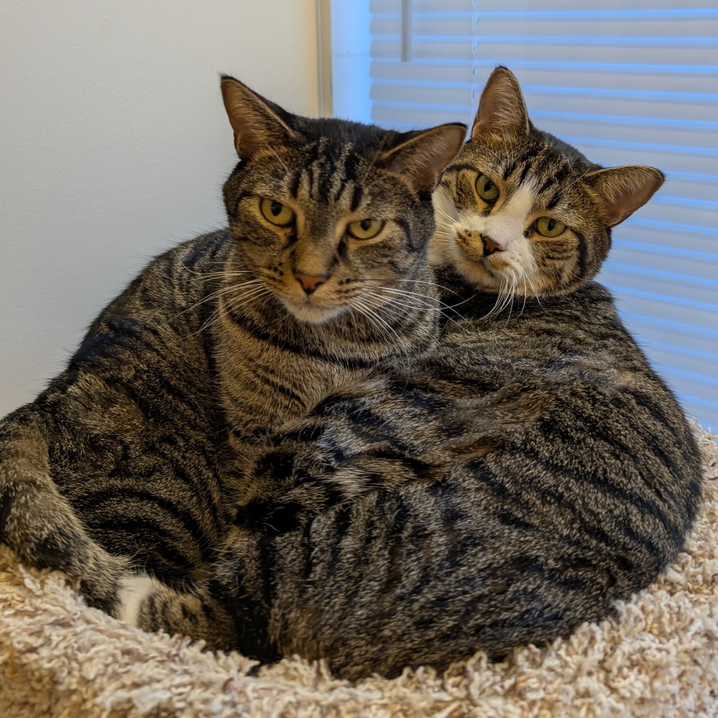 Mario & Luigi, photo 20