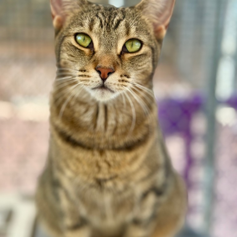 Full body shot of Dotty