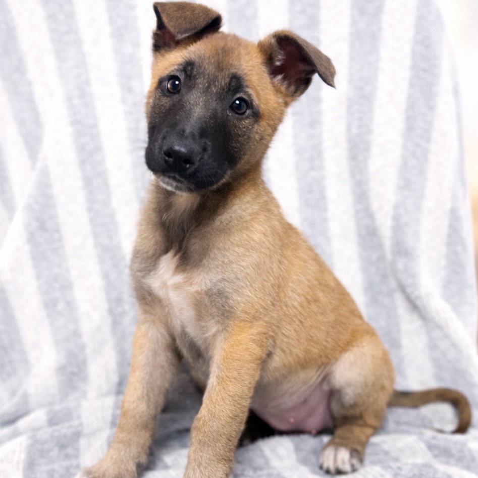 Tsireya — thumbnail 5