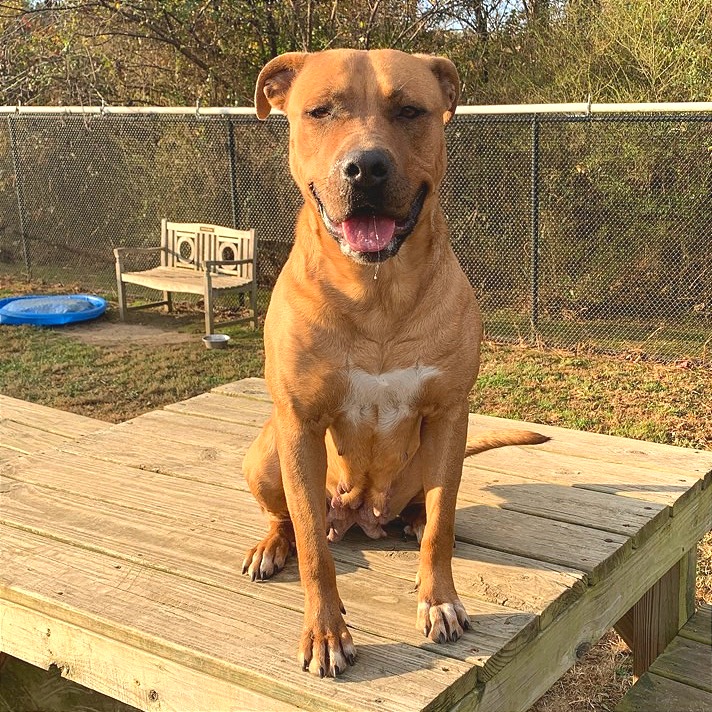 Elsie — thumbnail 9