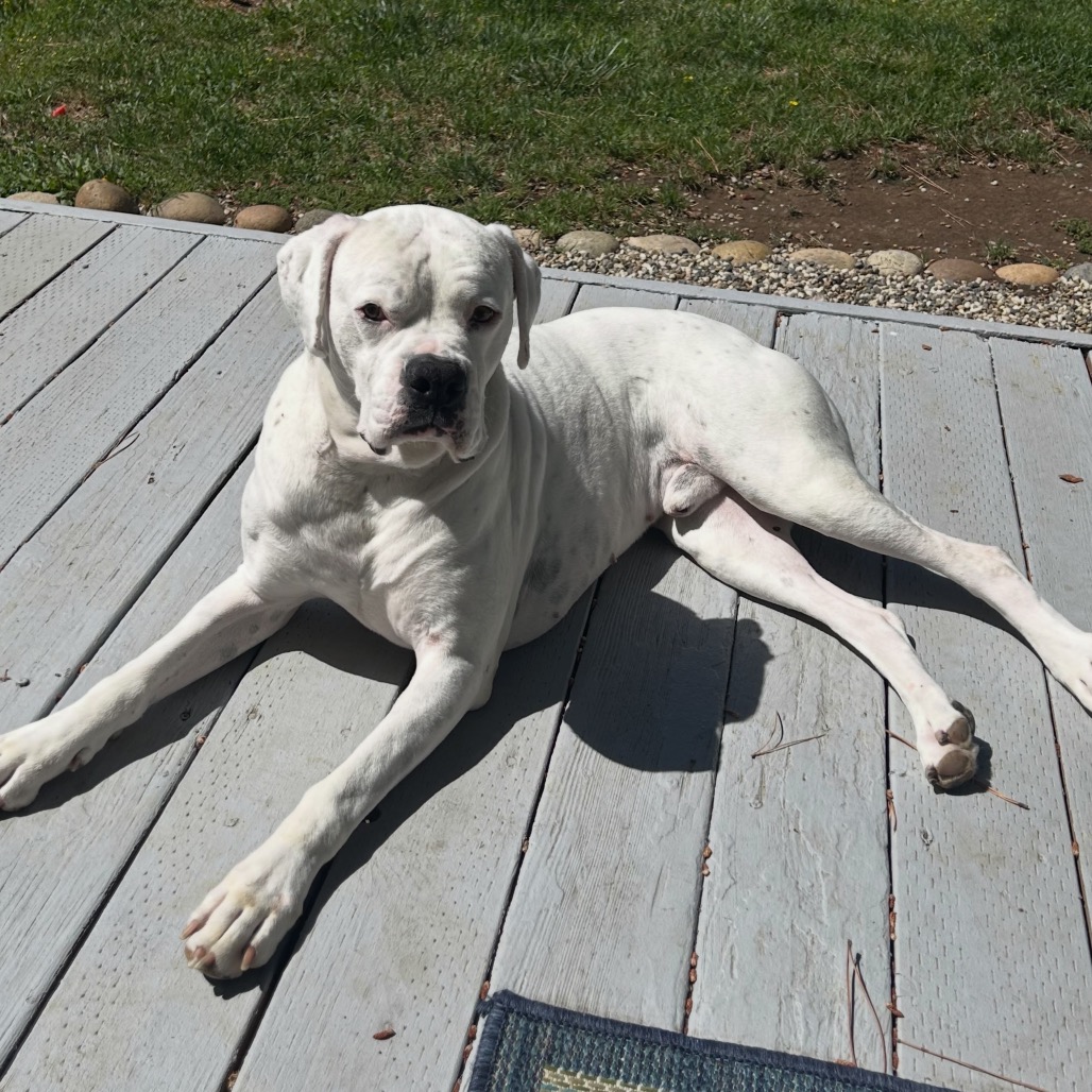 GRAYSON, photo 29