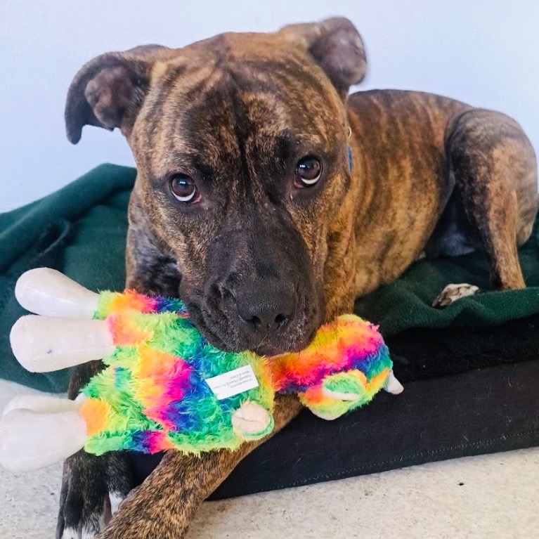 Image of Jordan looking at the camera