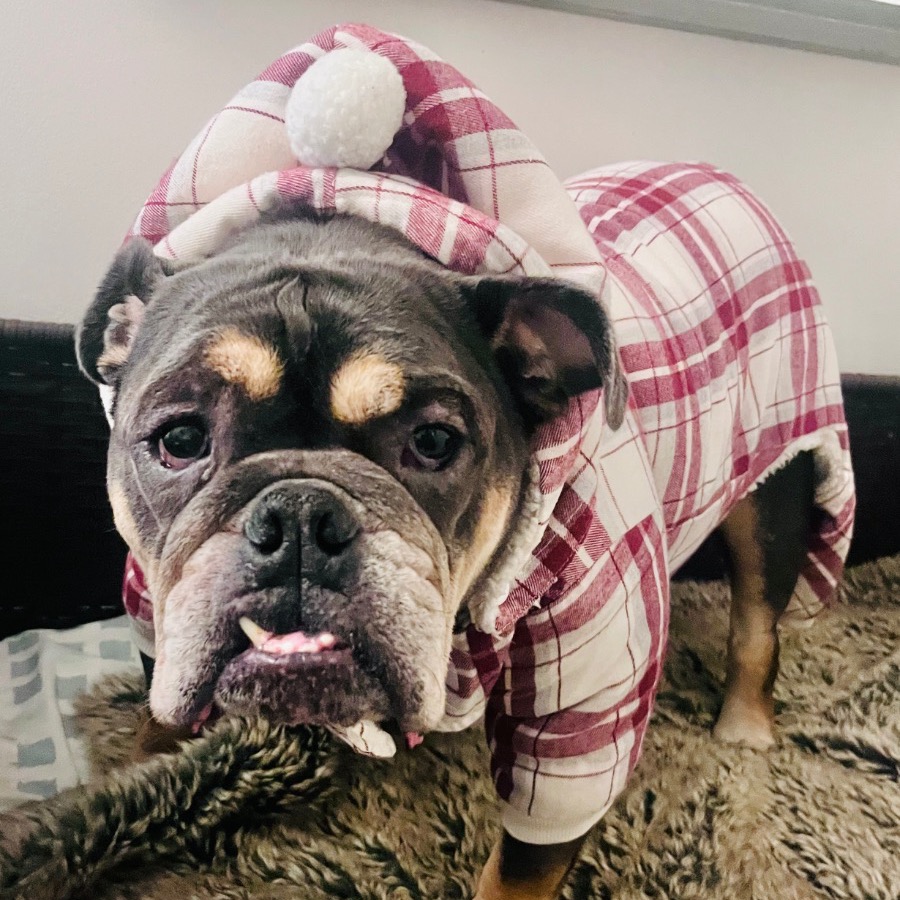 Photo of Andy playing