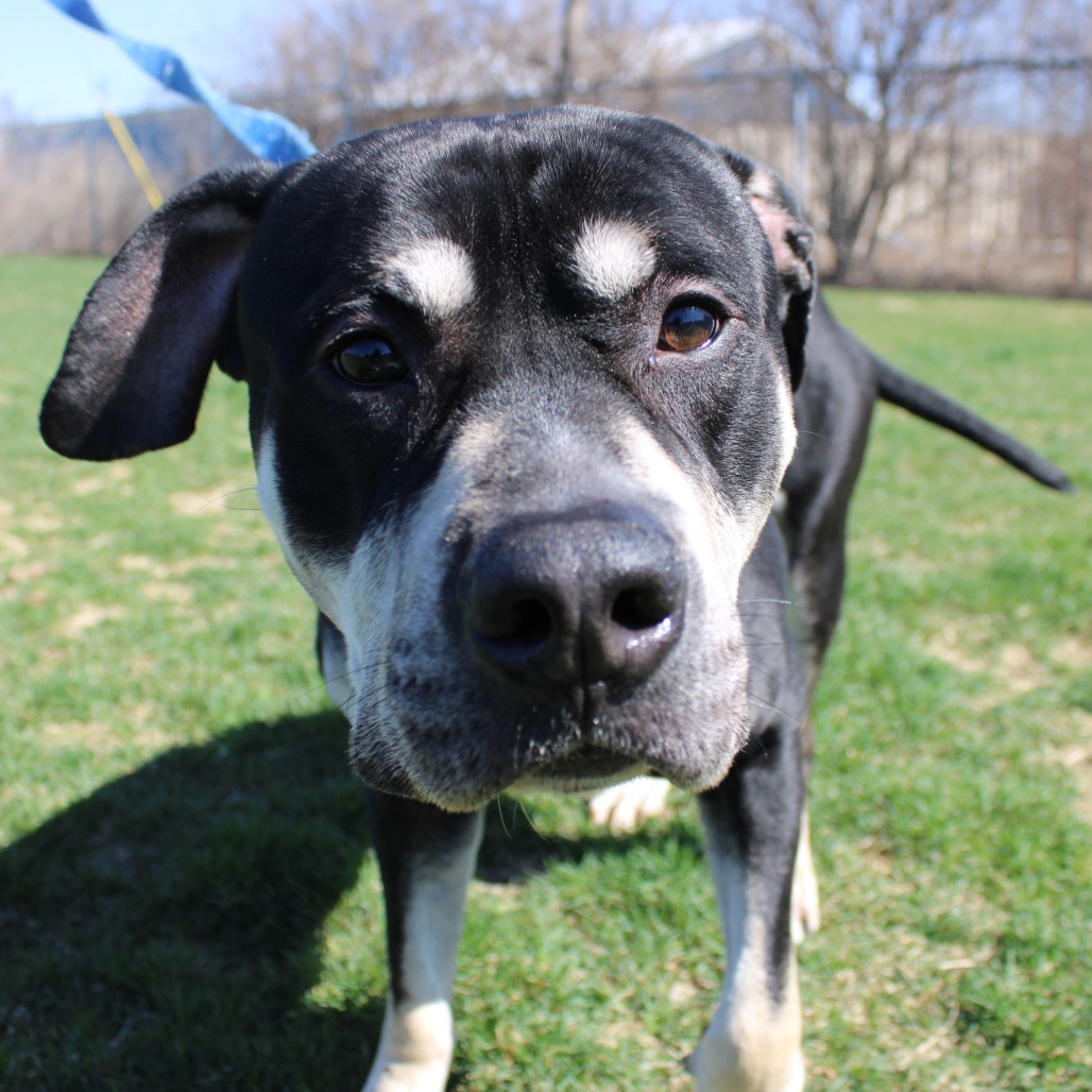 Zeus — thumbnail 3