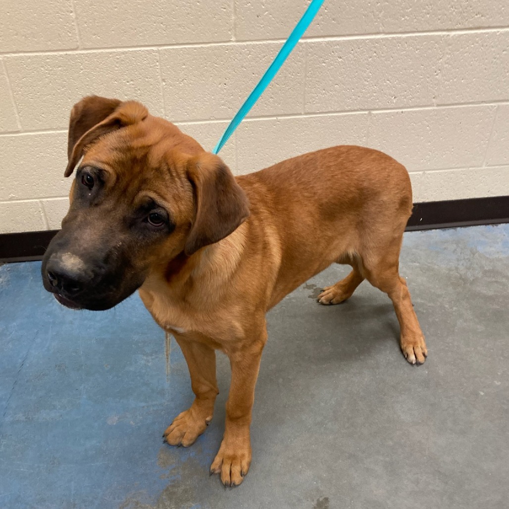 Boosie — thumbnail 2