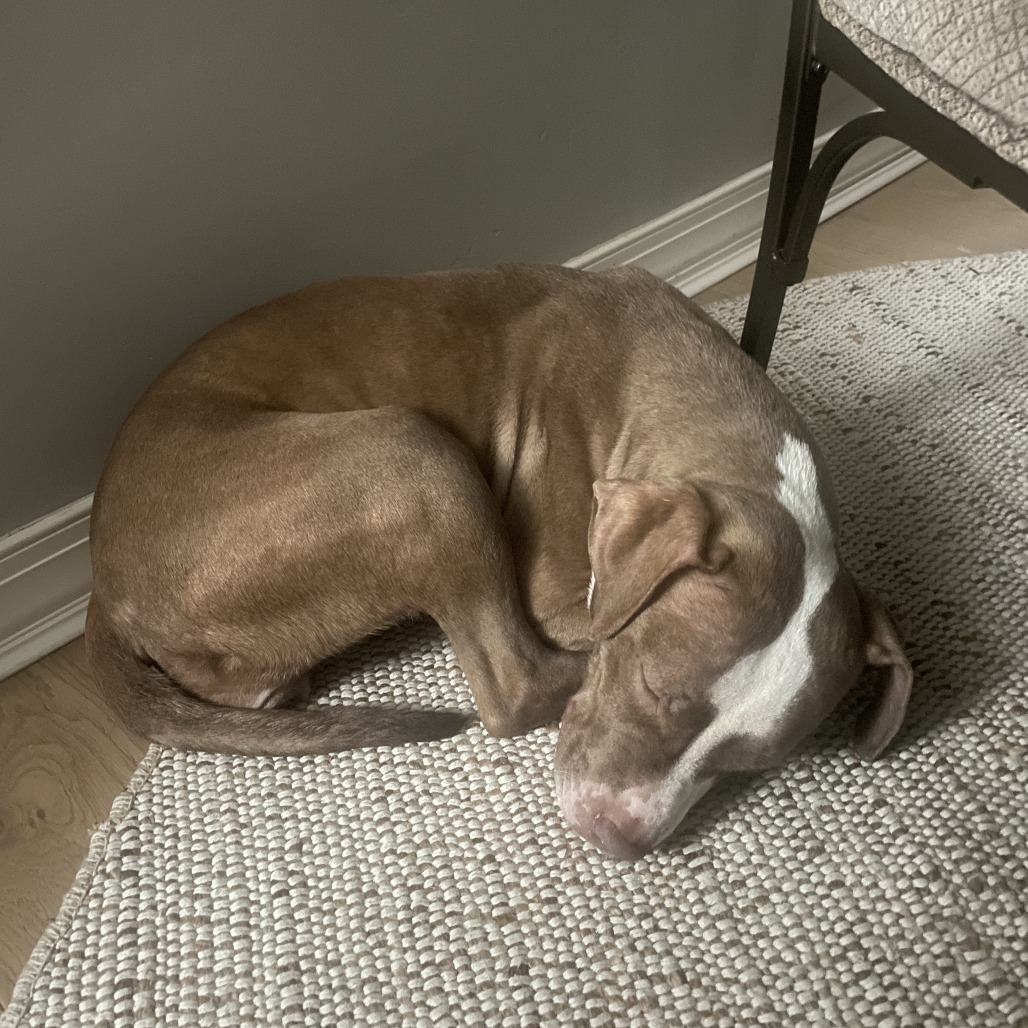 Rebecca — thumbnail 4