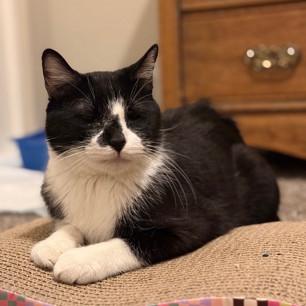Buddy picture #10