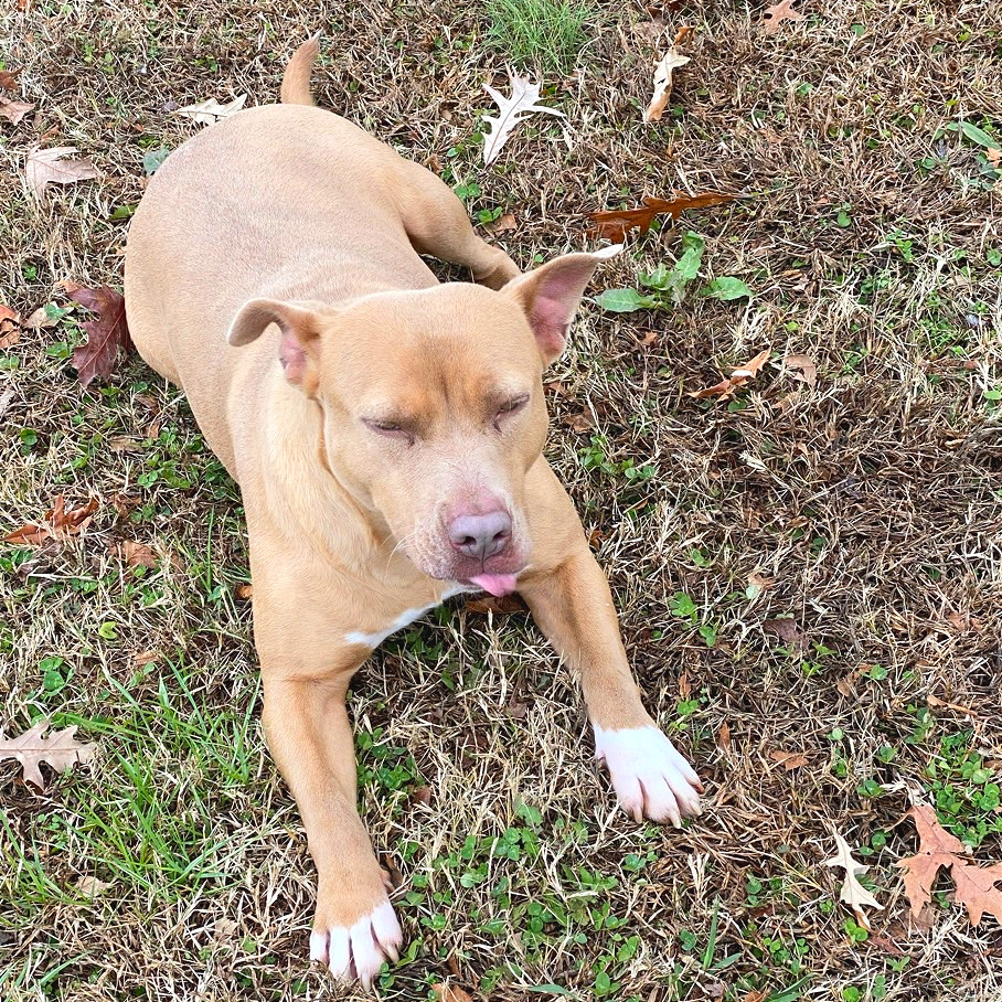 Harbor — thumbnail 6