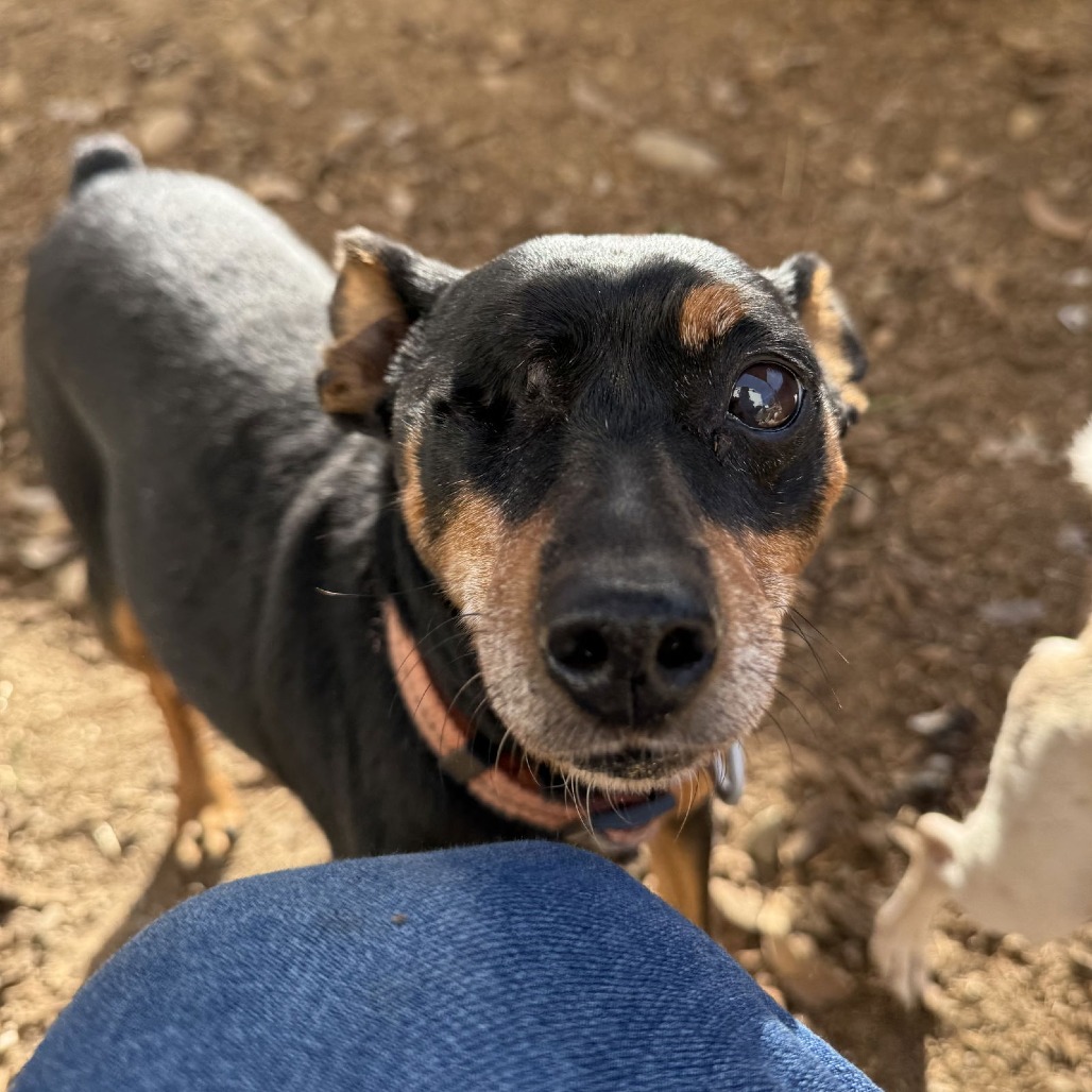 HOOK — thumbnail 2