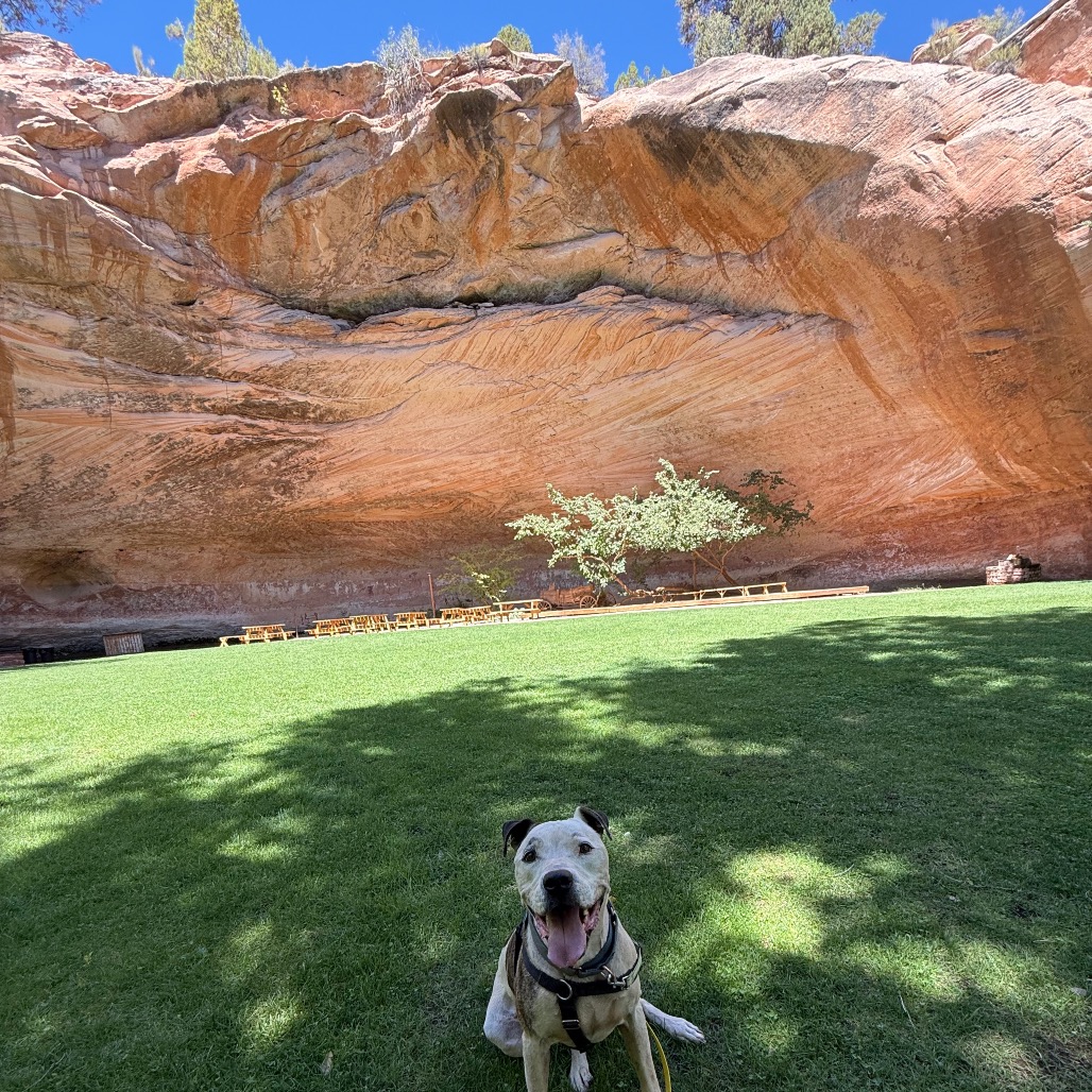 Rudy, photo 21