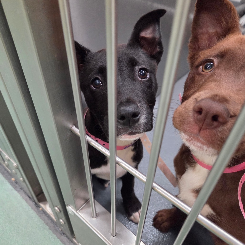 Soul — thumbnail 3