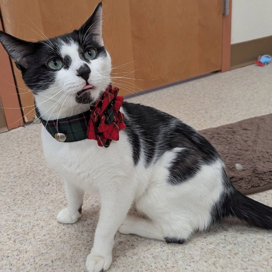 Zee — thumbnail 10