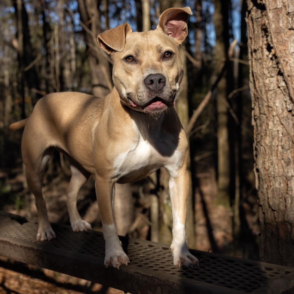 Pippa 01-1426, photo 11