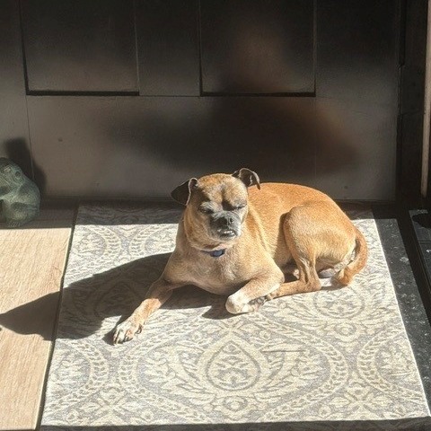 Frankie, additional photo
