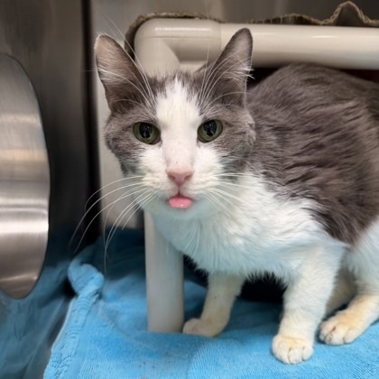 Grandpa — thumbnail 2