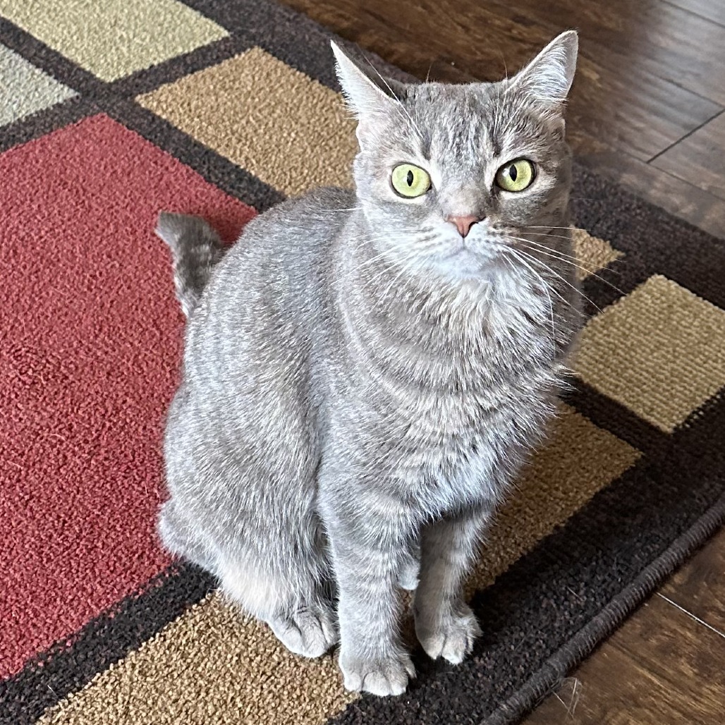 Lizzie