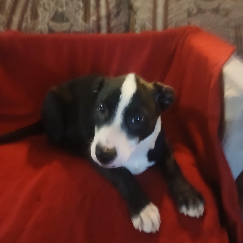 Esther