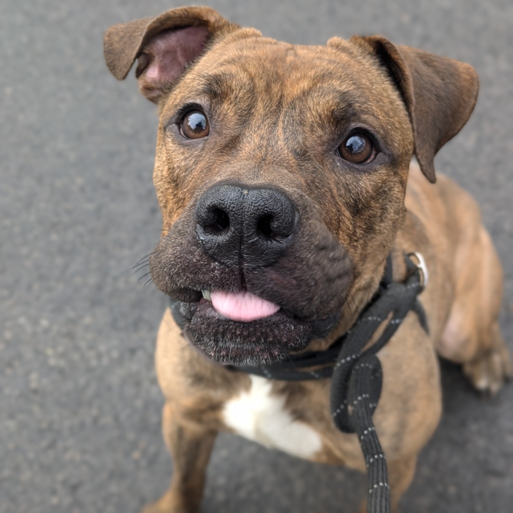 Jager — thumbnail 4