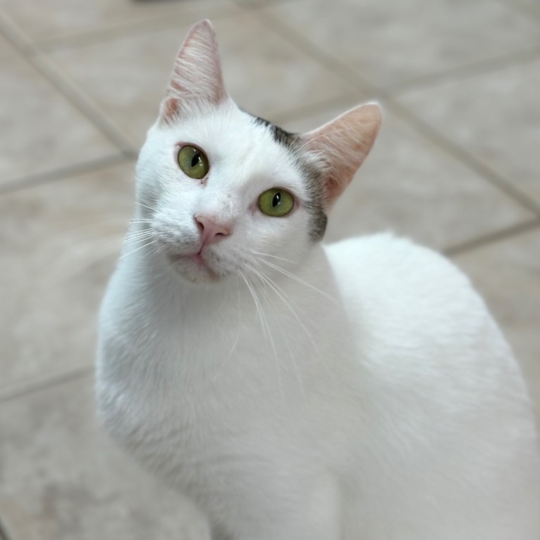 Full body shot of Shrimp